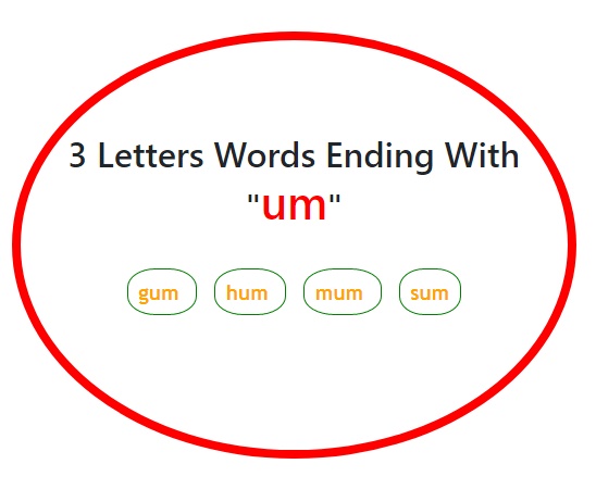 3 Letters Words end with um